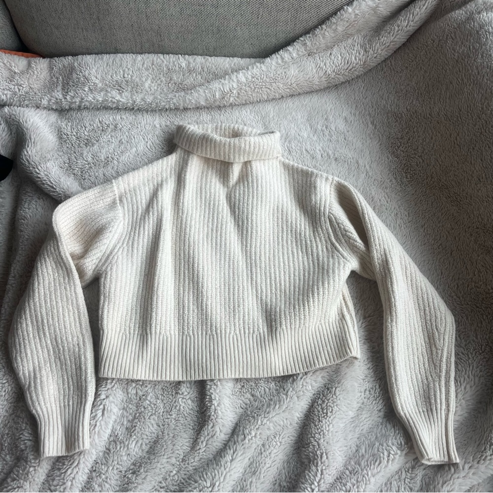 *SHRUNKEN* Aritzia Wilfred Montpellier Waist Turtleneck